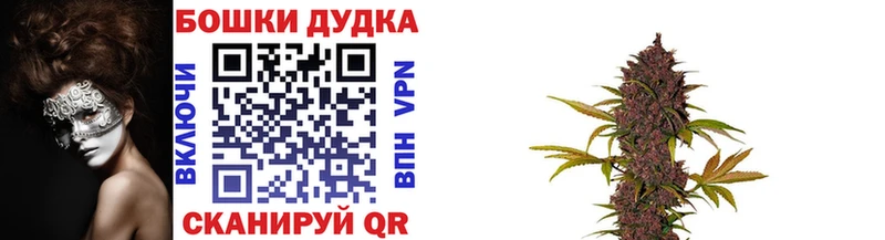Какие есть наркотики Кировград Псилоцибиновые грибы  КОКАИН  Alpha PVP  Меф мяу мяу  ГАШИШ 